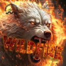 DMS WildFire (와일드파이어) 입고문의 이미지