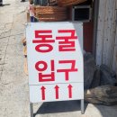 고수 | 고수동굴 방문 후기1
