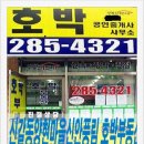 신안호박공인중개사사무소 네이버블로그