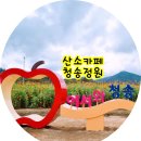 산소카폐 청송정원 (1) 이미지