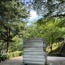 까페개화1길 | 옥천 장계관광지 수국명소(무료) 개화상황, 주차🌼 / 대청호 유람선[정지용호] 탑승후기