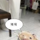 연세대학교치과대학치과병원 이미지