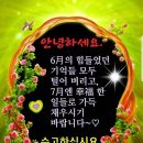 시천교 이미지