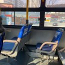 김천농협지좌지소 | 한량 겨울방학의 끝자락