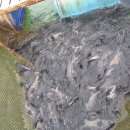 해솔바다낚시터 이미지