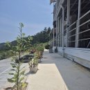 들꽃이 있는 바다 | 여수 들꽃마을펜션 안개꽃 객실 여수펜션 후기 🌊