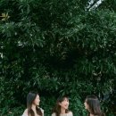 송당 온도 이미지