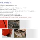 테로손 이미지