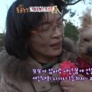 또또농장 Daum카페