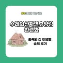 행복날개수련원 | <수레의산 자연휴양림> 숲속의 집 한련화에서 숙박한 솔직 후기