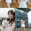 강아지 별장 이미지