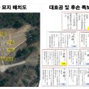 대효