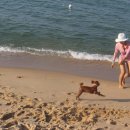 고트래블 이미지