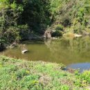 한평소류지 이미지