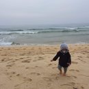 제비호식당 이미지