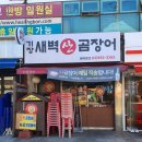 기장새벽왕곰장어 이미지