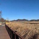 스테이 순천(Stay suncheon) | 스테이순천 여수밤바다 가까운 강아지동반펜션