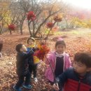 엄마랑유치원 Daum카페