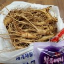 풍기인삼 Daum카페