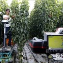 1만배 PC 이미지