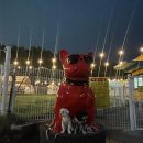 멍글멍글 이미지