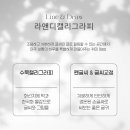 쓰는 기쁨 캘리그라피 이미지