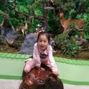지리산리틀프린스펜션 이미지