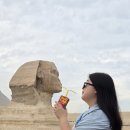 🇪🇬 이집트 12박 13일 자유여행 정리