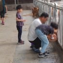 가야한우농장 이미지