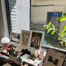 다로리인 | [청도/다로리] 다로리마을 속 숨은 감성 카페, '카페 다로리'에서 만난 이색 로컬 음료 솔직 후기!