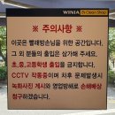 위니아24크린샵신서점