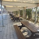 피크닉장 이미지