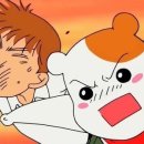 SG FITNESS 이미지