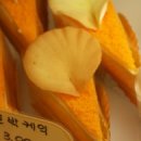코아양과 이미지