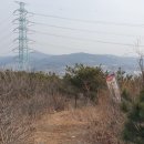 영전천 이미지