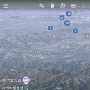 장성터널 Daum카페