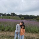미소반 희수의 경주나들이 이미지