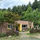 푸른숲 어린이집 이미지