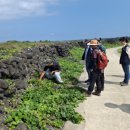 행원환해장성 이미지