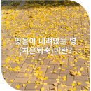 아르미치과의원 이미지