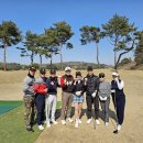 H 골프스쿨 | 양재 골프 레슨, 모임｜비즈니스 골프 CEO 마스터 과정 18기 모집!