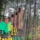 제주도 동쪽 코스 제주 섭지코지 제주아쿠아플라넷 이미지