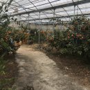 정우농장 2 이미지