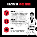 9월 4일(목) 올림픽 효자종목 태권도의 날 이미지