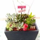 꾸지나무골 행복한 하우스 이미지