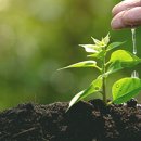 여울농장2 이미지