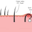 헤어안(Hair An) 네이버블로그