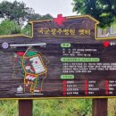 광주병원 국민일보