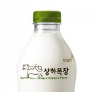 매일목장 이미지