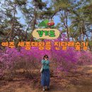 GS25 여주강변점 | 경기도 여주 가볼만한곳 세종대왕릉 진달래숲길 개방 및 주차